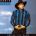 Ropin\' the Wind