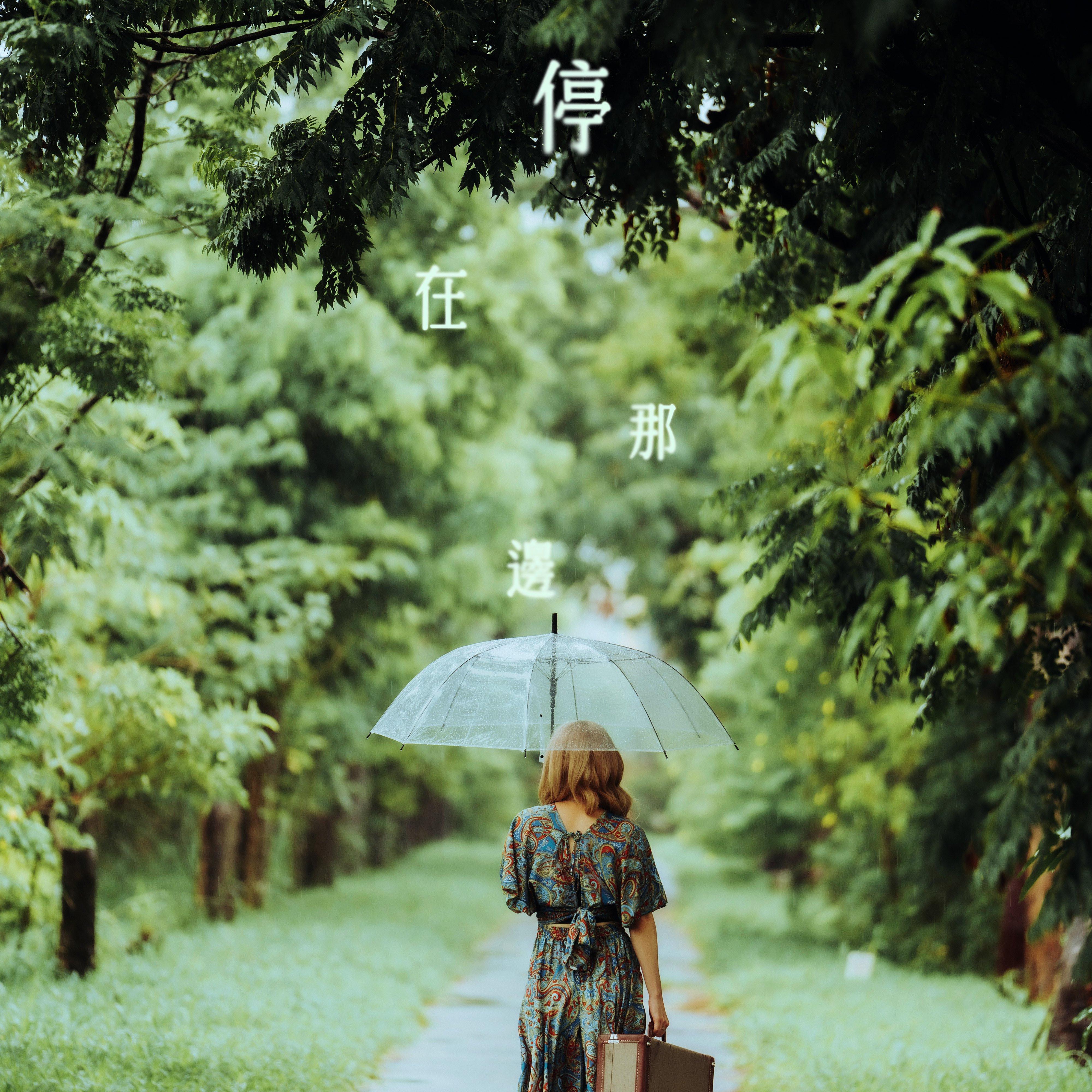 停在那邊 海報