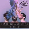 Cash Cash - How To Love (Fawks Flip)