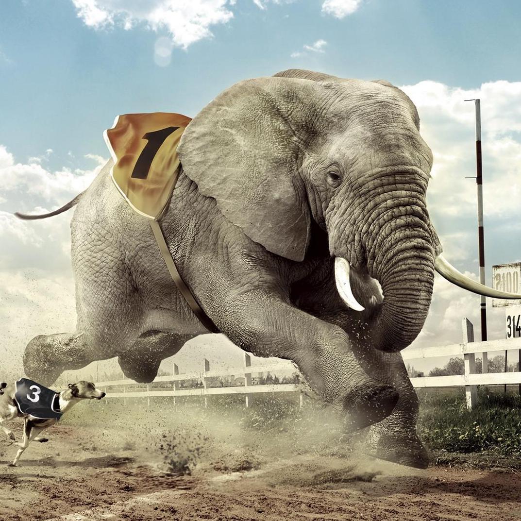 介绍点适合幼儿跑步的音乐-什么音乐节奏强、