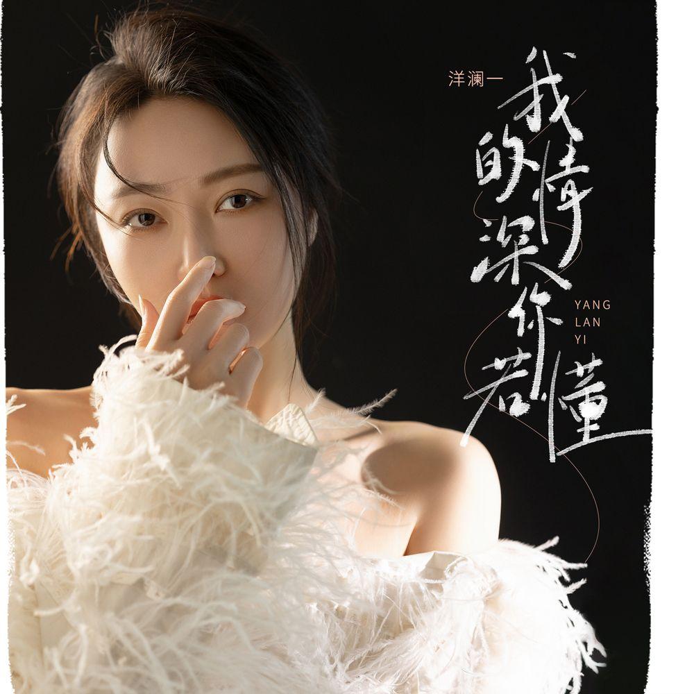 我的情深你若懂 海報