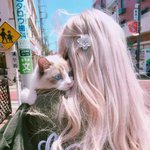 适合写作业时听的歌