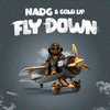 Nadg - Fly Down