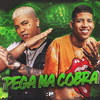 MC V2 - Pega na Cobra