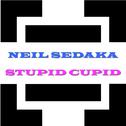 Stupid Cupid专辑