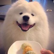 阿楠君君君