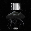 Payne - Sturm