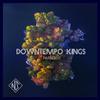 Downtempo Kings - Come Over You