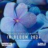 Markus Schulz - Till We Fade (In Bloom 2024)