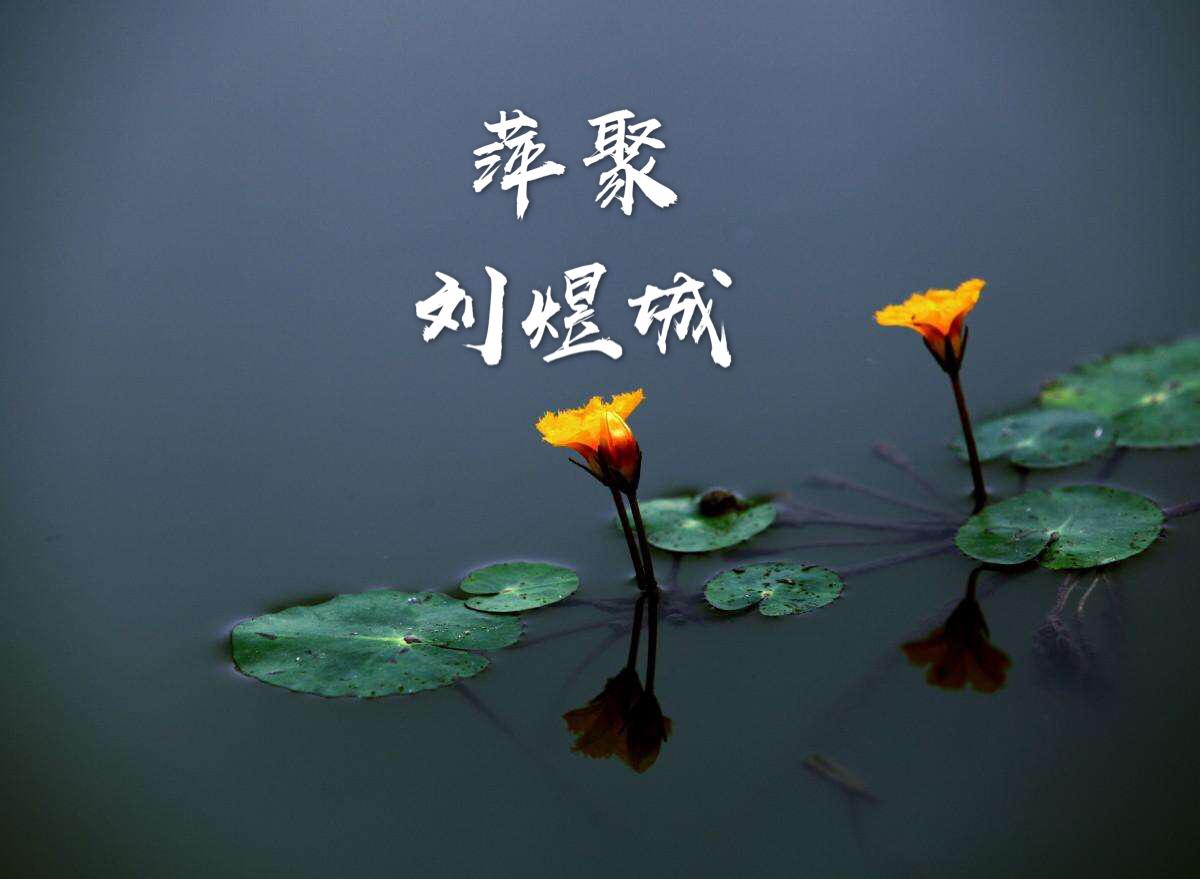 萍聚  