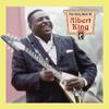 Albert King - Water (Single Version)