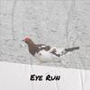 Gabes Banger - Eye Run