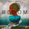 Phaxe - Bloom