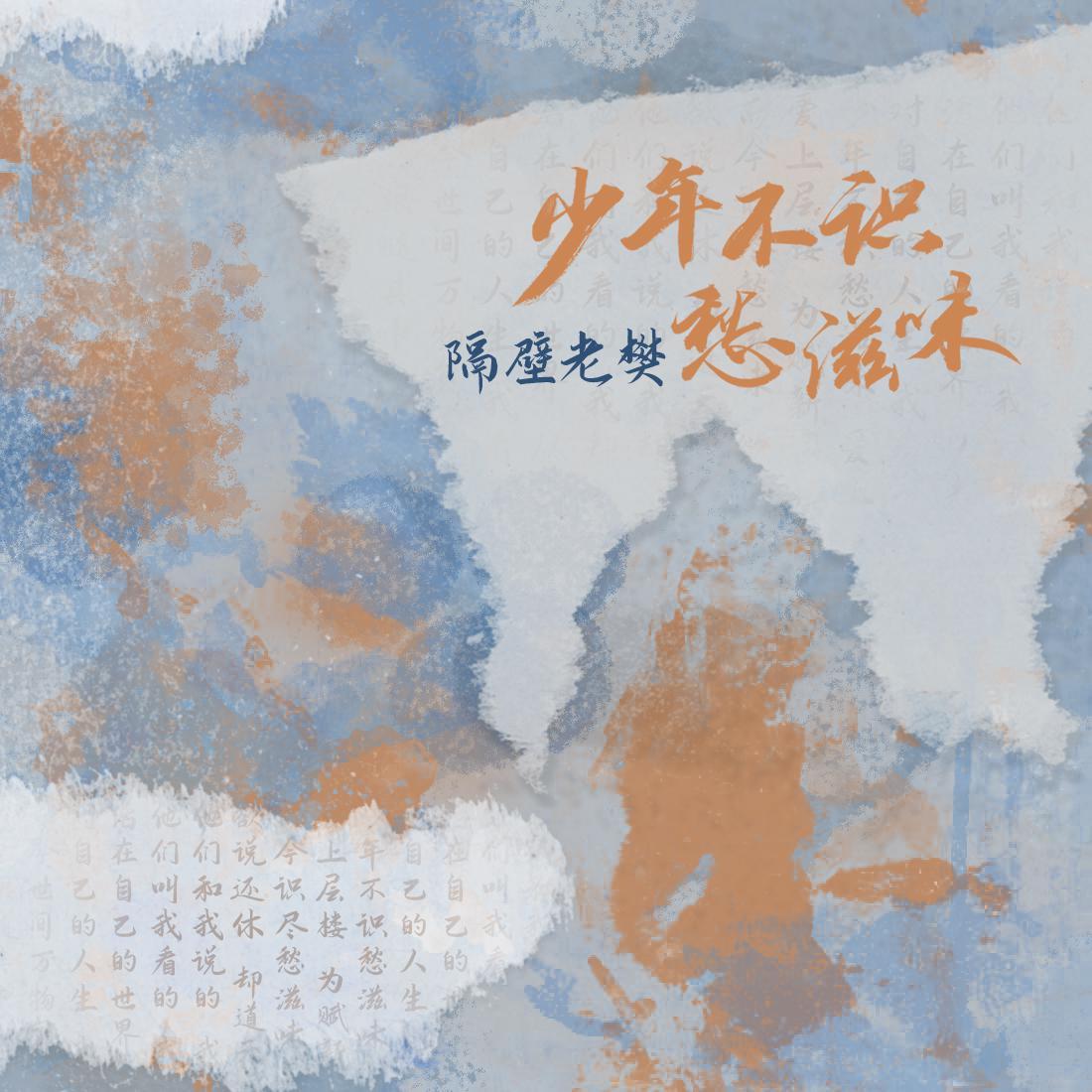 少年不識愁滋味 海報
