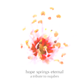 Hope Springs Eternal:A Tribute To Nujabes