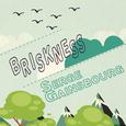 Briskness