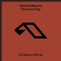 Homecoming (LTJ Bukem Remix)专辑