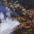 花的名字 8.6