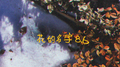 花的名字 8.6专辑