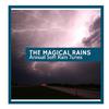 Rain Roots Nature Music - Musical Rain Aftermath