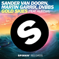 Gold Skies (Kaleck Bootleg)