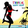 Joop van der Knaap - Fun in the Tropics (A Pop-Reggarton Song)
