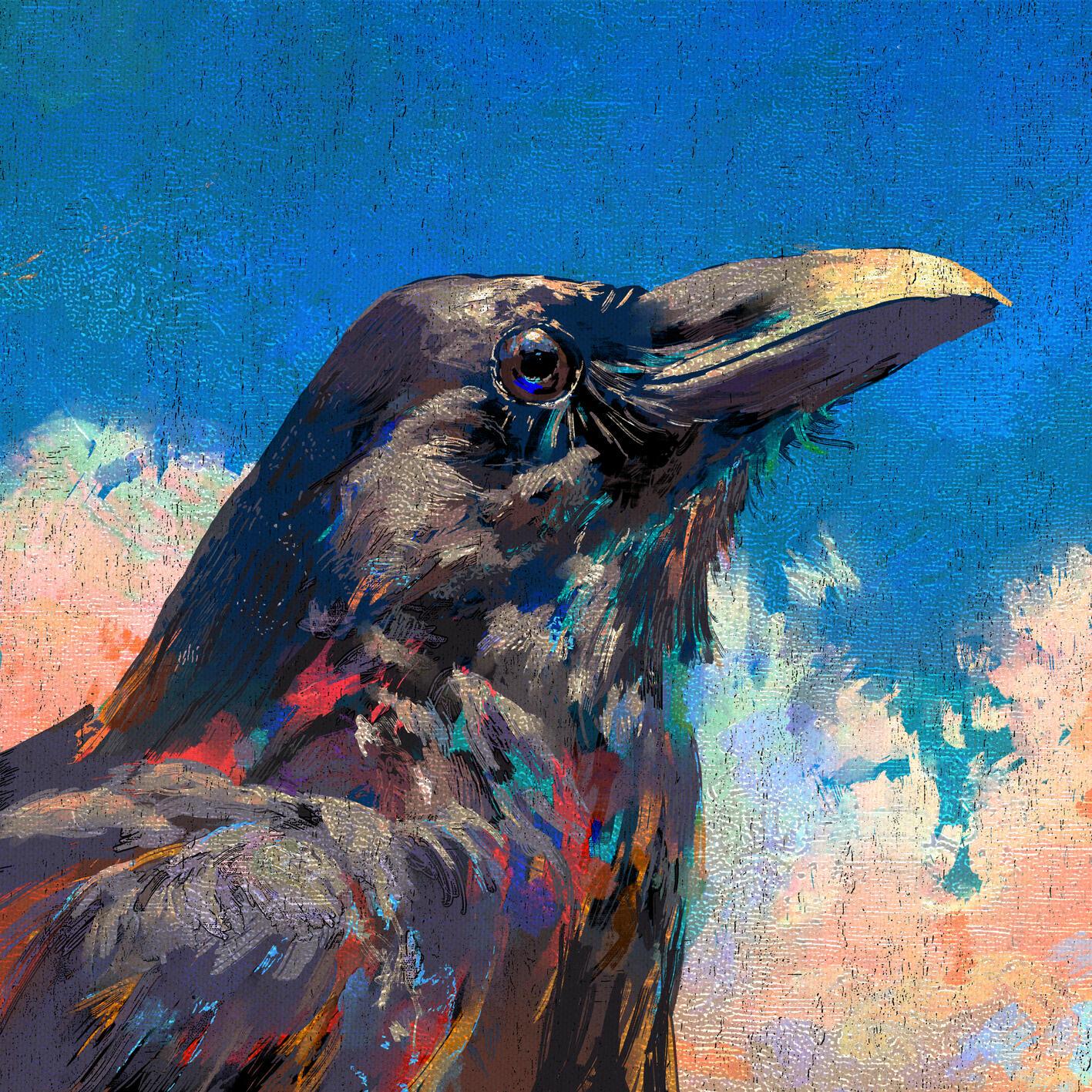 烏 - Raven banner
