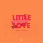 Little Love (Redondo Extended Remix)专辑