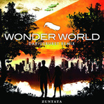 Dariusburst Remix Wonder World专辑