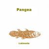 Pangea - Birds of Pray