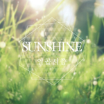 Sunshine专辑