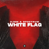 DJSM - White Flag