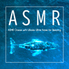 贵族音乐ASMR - 平静的海浪声