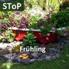 Stop - Frühling
