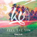 Feel The Sun专辑