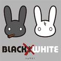 BLACK × WHITE