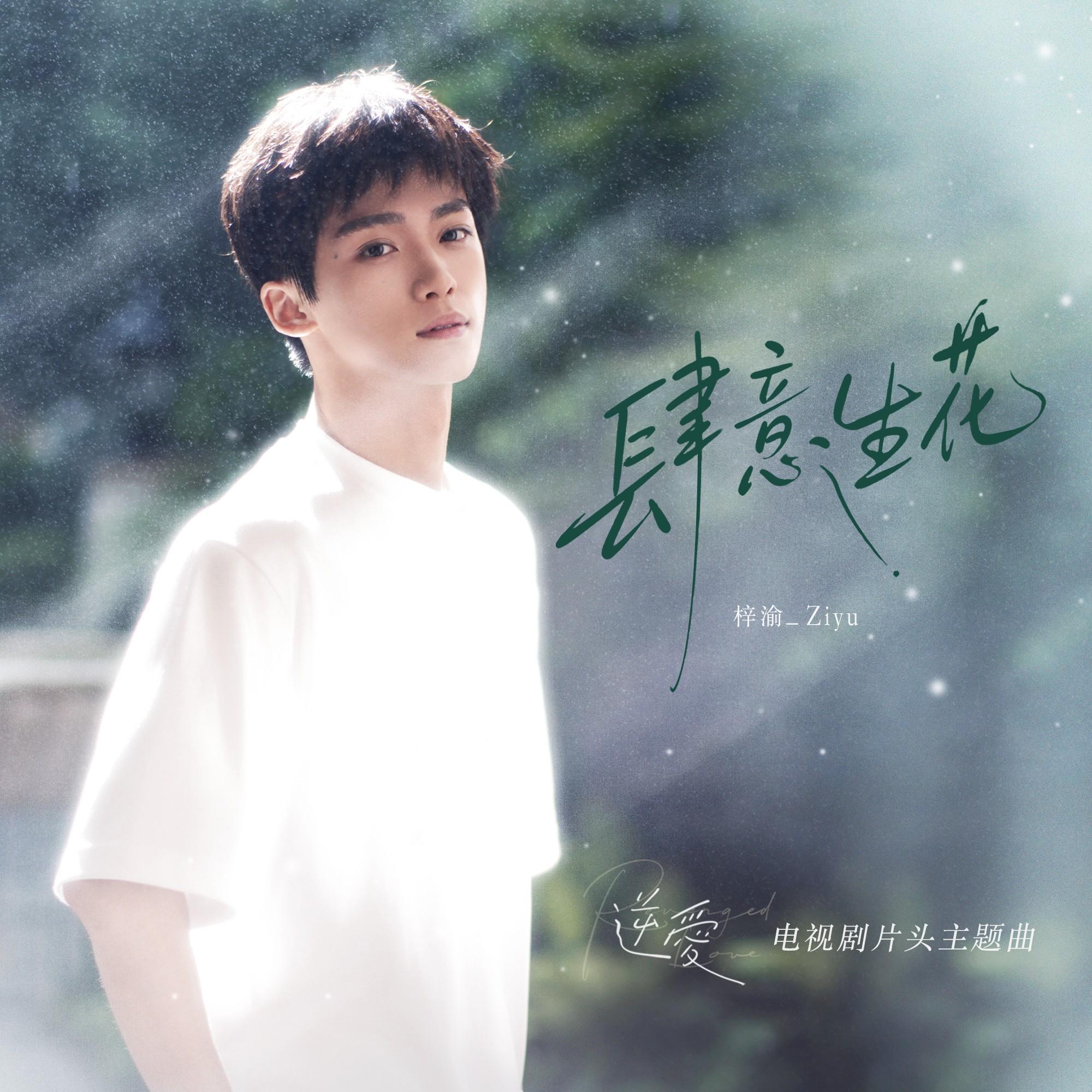 肆意生花 banner