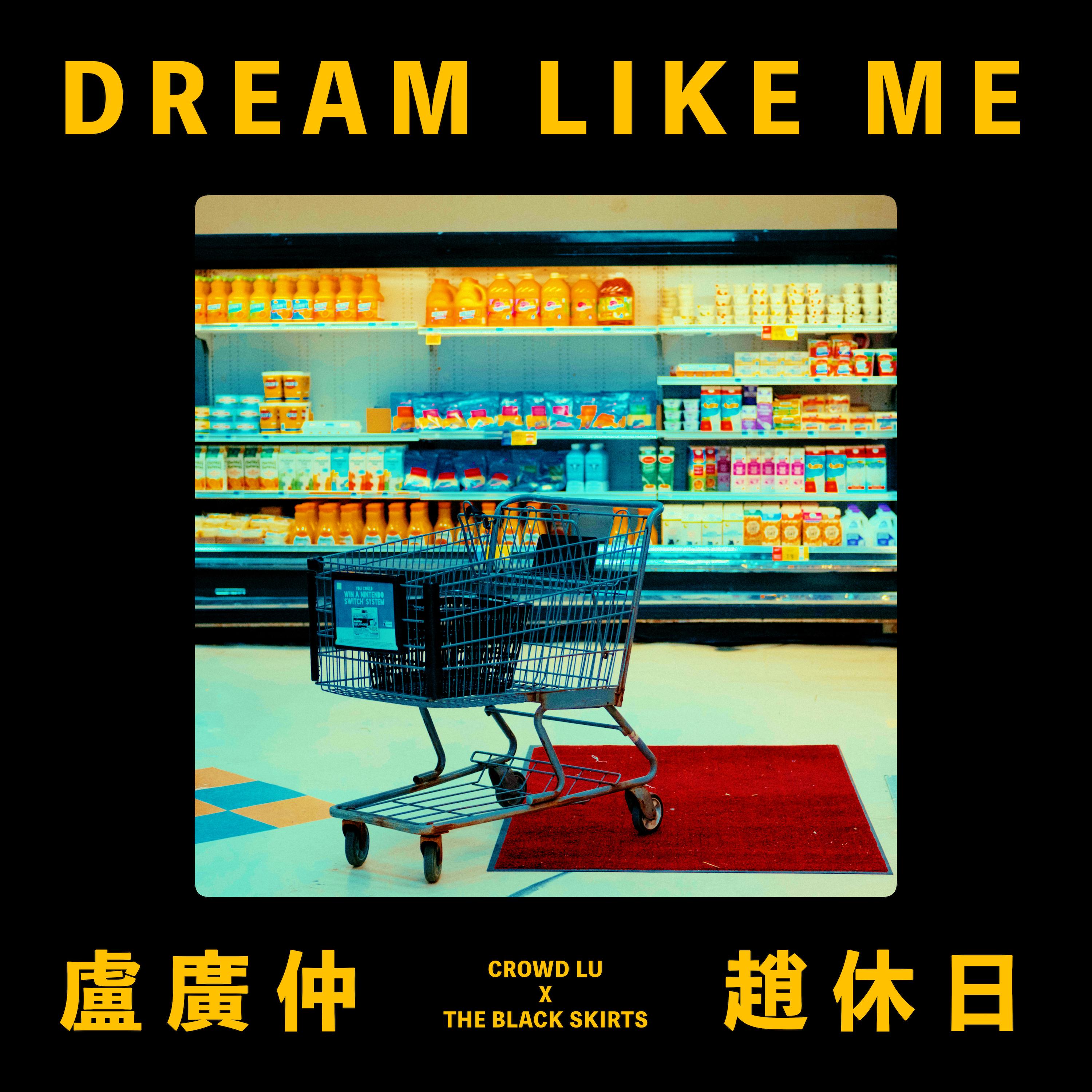 DREAM LIKE ME 海报