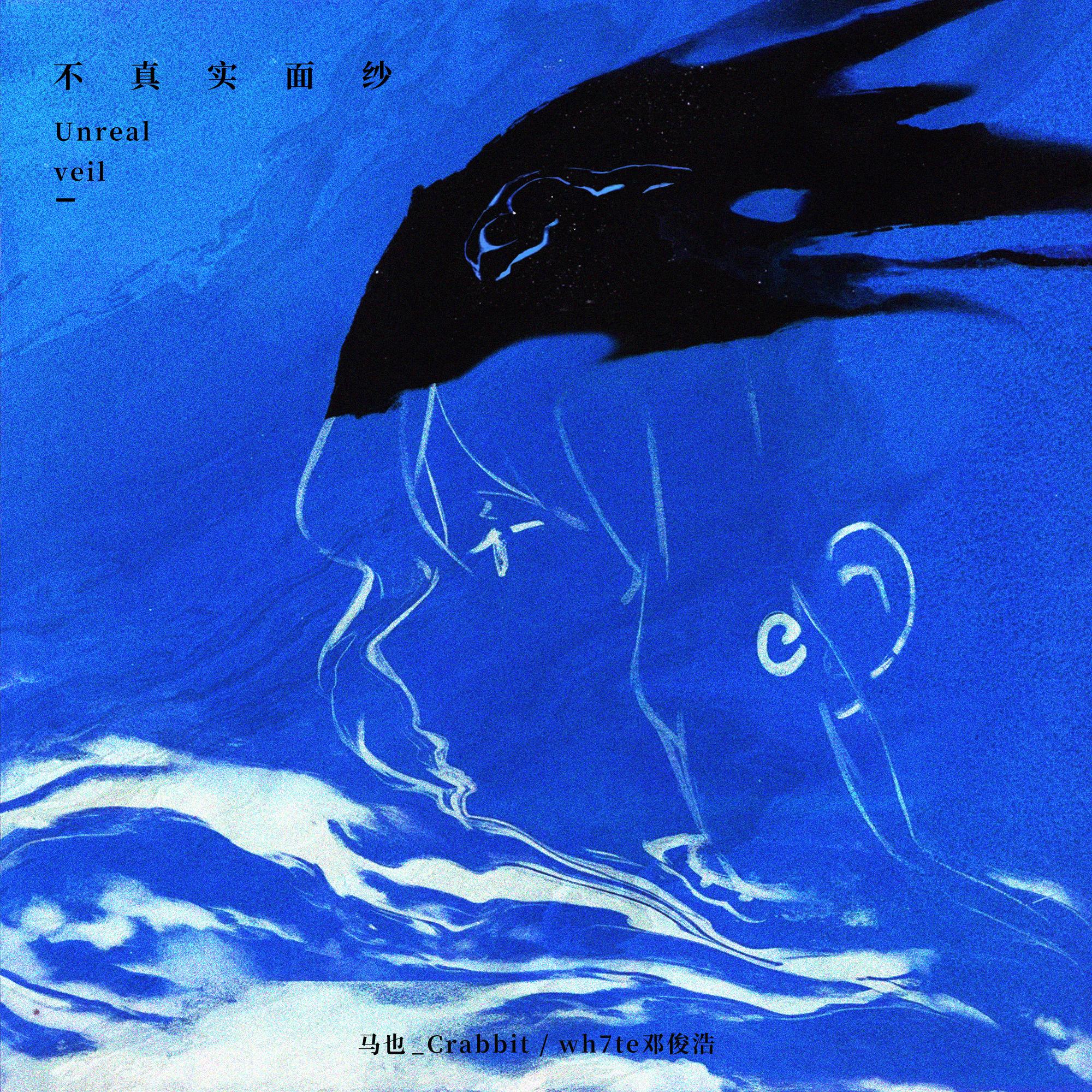 不真实面纱 海报