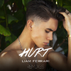 Liam Ferrari - Hurt (Alawn Remix)