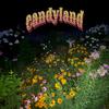 AF13 - Candyland_Otari_30ips_Pushed