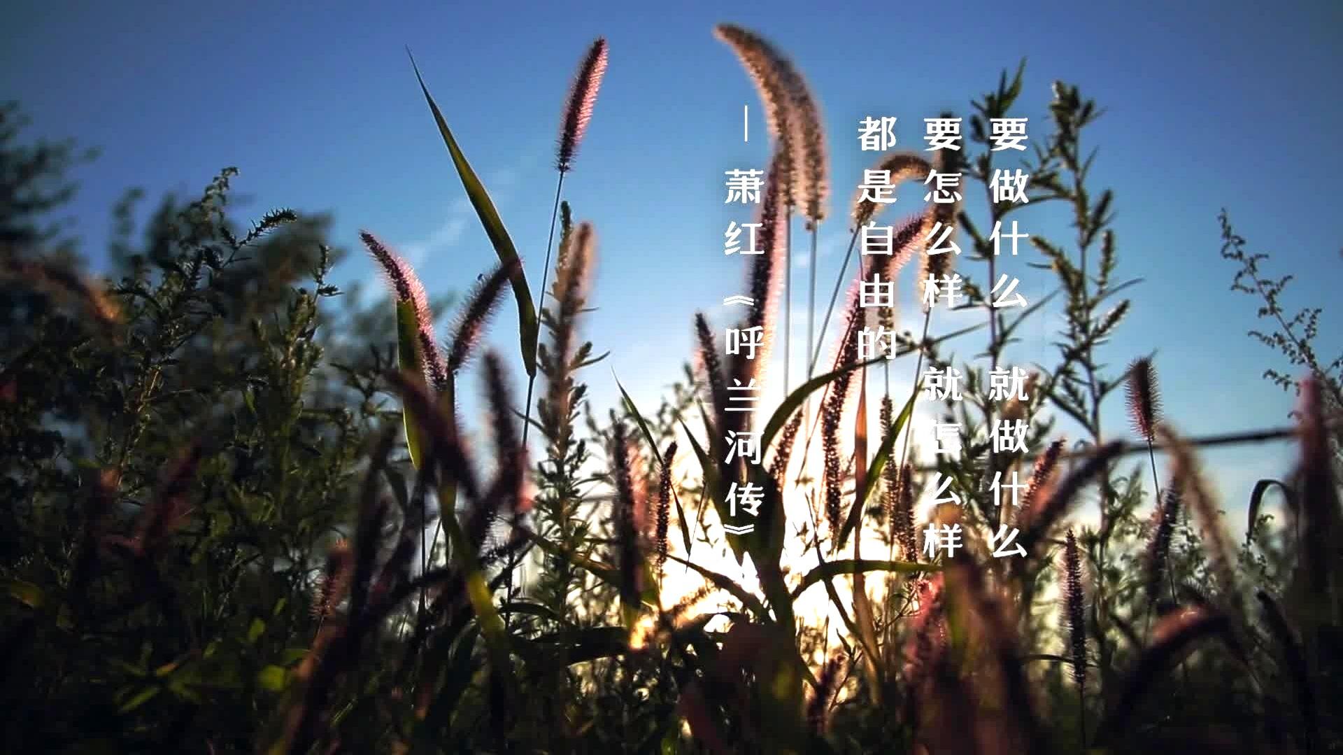 宋冬野 - 《卡比巴拉的海》 录制花絮