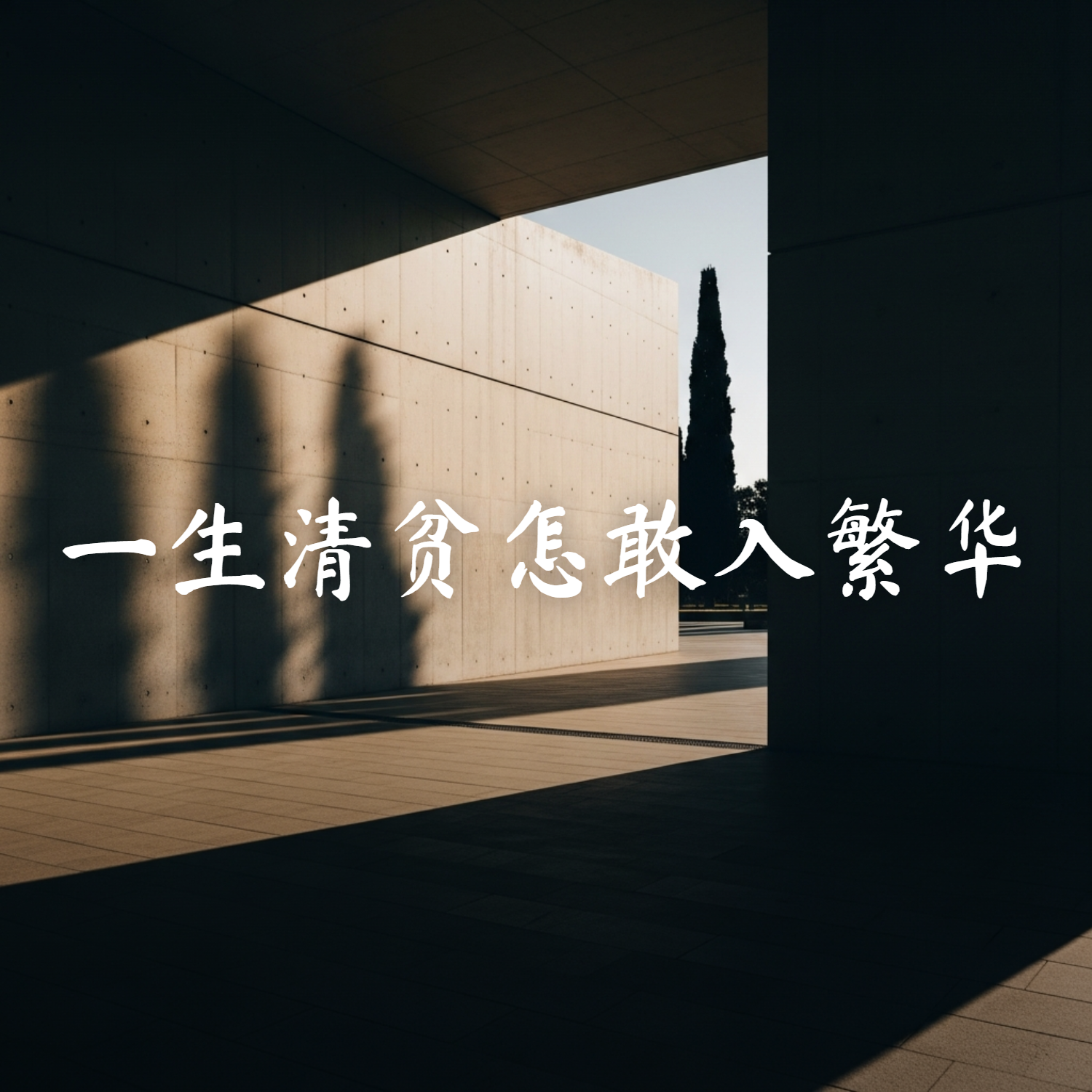 一生清贫怎敢入繁华 海报