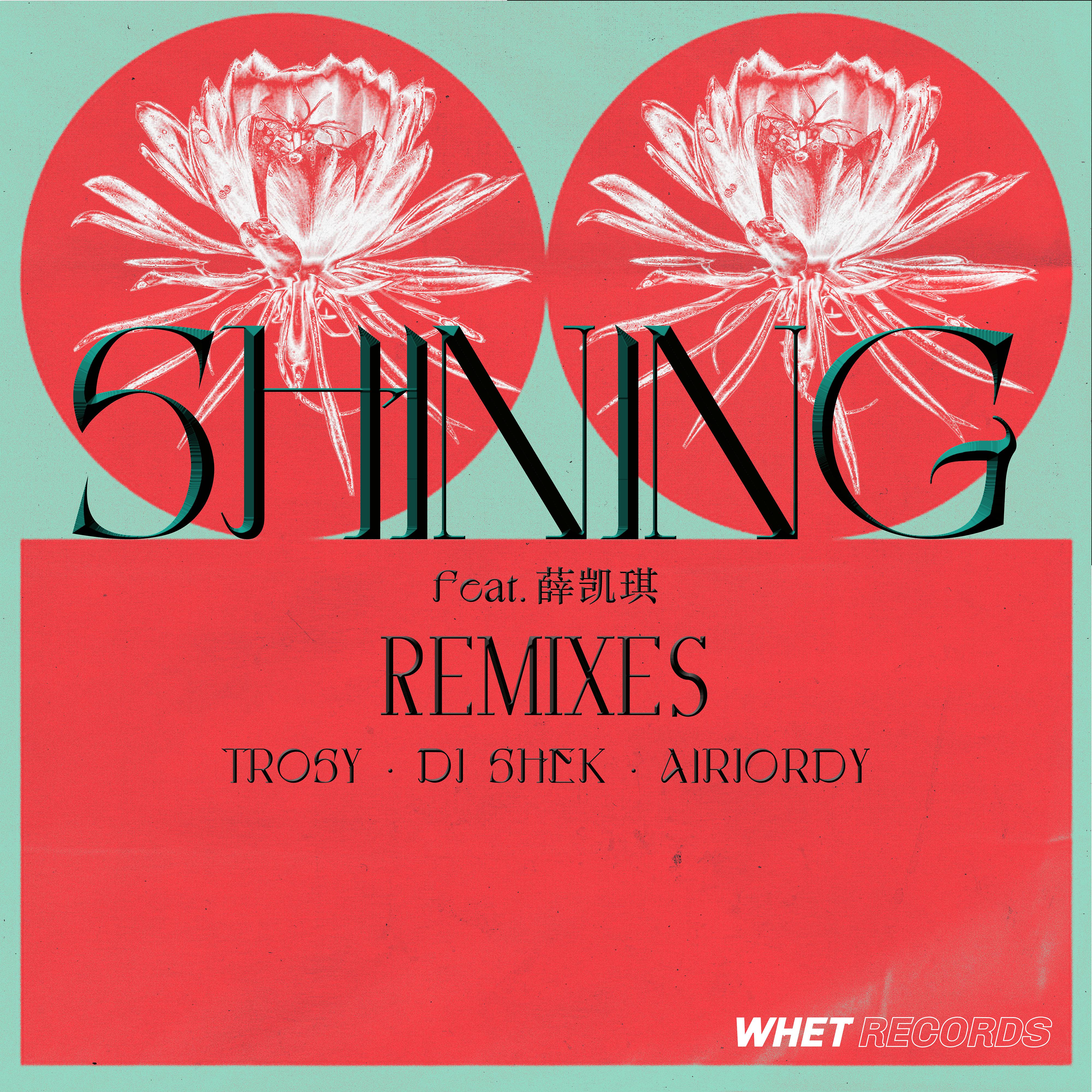 Shining (feat. 薛凯琪) [Remixes]专辑