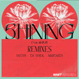 Shining (feat. 薛凯琪) [Remixes]