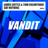 James Cottle - Say Nothing (Extended)