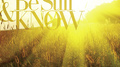 Be Still & Know: Instrumental Songs Of Worship专辑