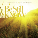 Be Still & Know: Instrumental Songs Of Worship专辑