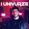 IUNIVURZE - Destiny (Markus Schulz Remix)