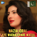 Aye Watan Pyare Watan